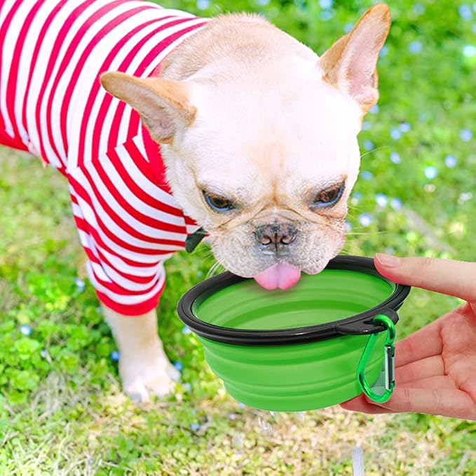Plato Plegable Portátil para Perros y Gatos